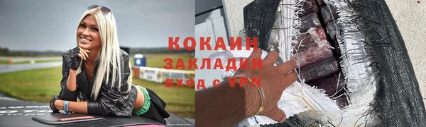 прущие грибы Инсар