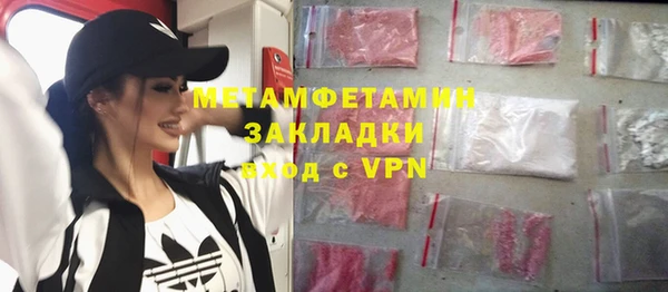 прущие грибы Инсар