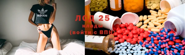 прущие грибы Инсар