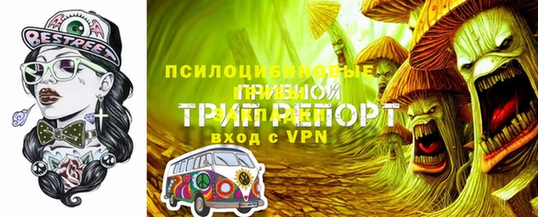прущие грибы Инсар