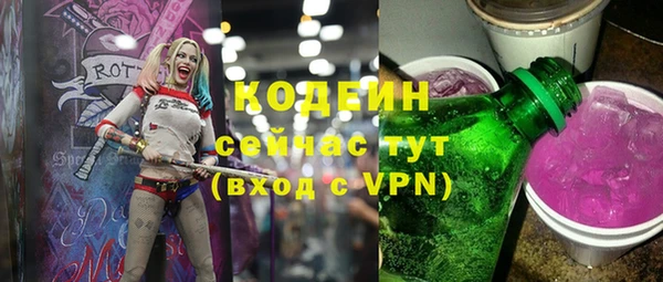 прущие грибы Инсар