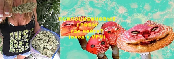 прущие грибы Инсар