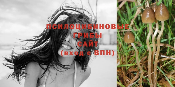 бошки Иннополис