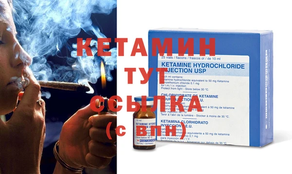 прущие грибы Инсар
