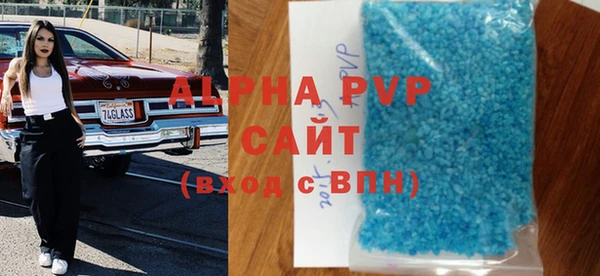 прущие грибы Инсар