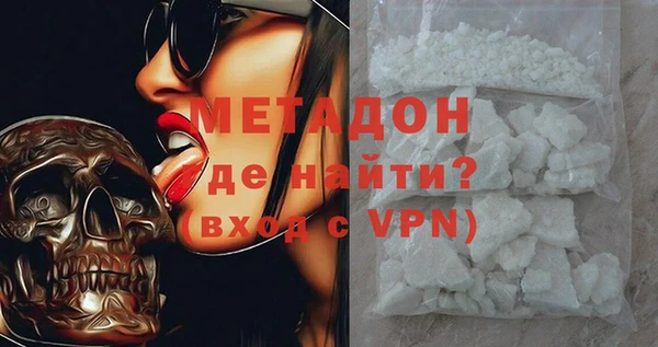 прущие грибы Инсар