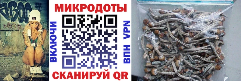 Галлюциногенные грибы ЛСД  Купить где  Оренбург 