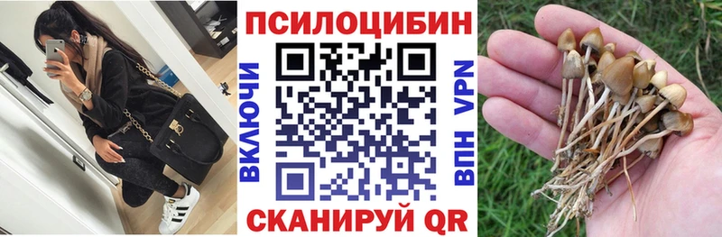 Псилоцибиновые грибы Cubensis Оренбург